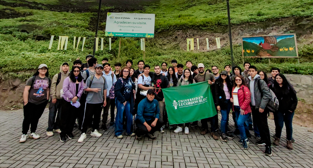 Proyecto de responsabilidad social universitaria en las Lomas el Paraíso de Villa María del Triunfo