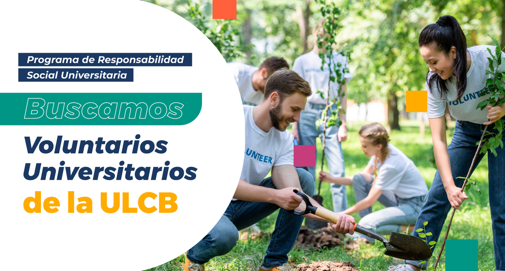 Voluntariado Universitario