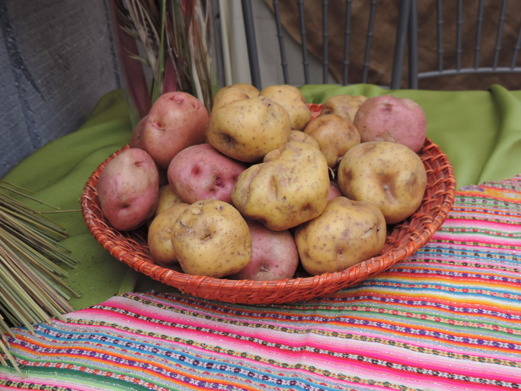 Celebramos el Día Nacional de la Papa